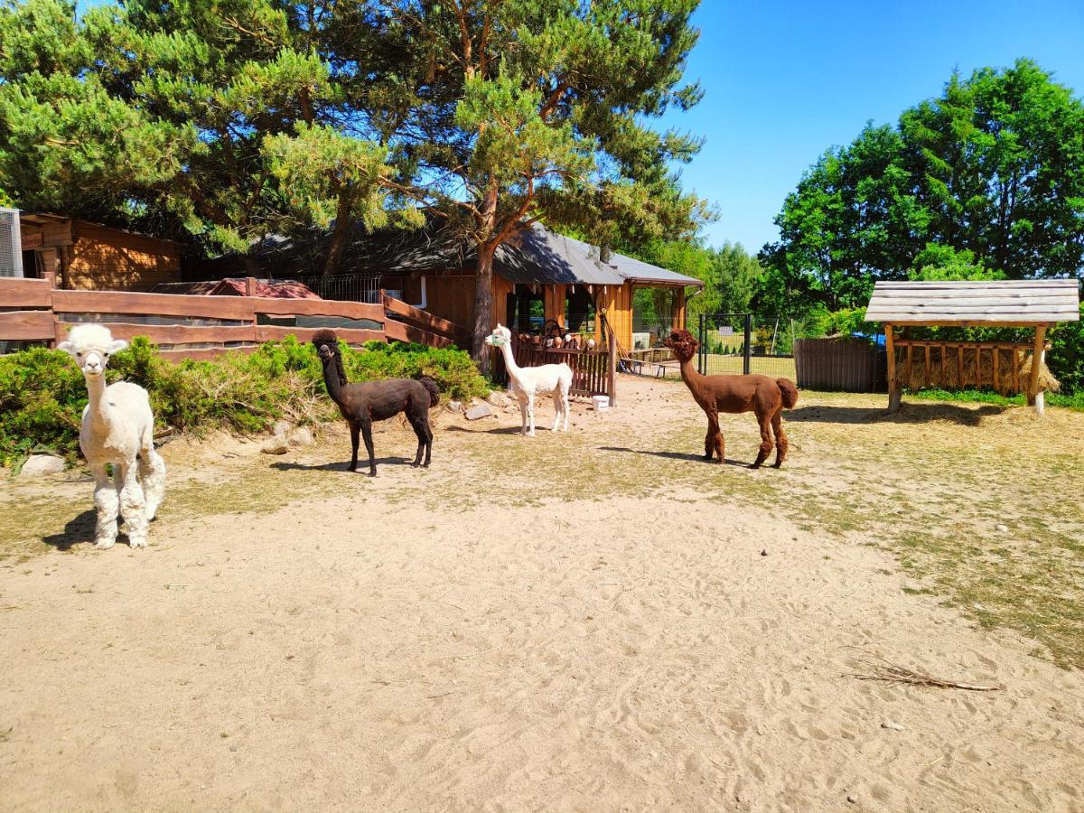 Domek na Slonecznikowej Chmielno Zewnętrze zdjęcie
