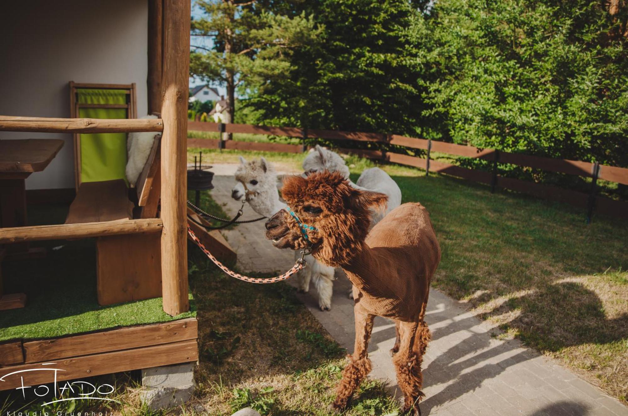 Domek na Slonecznikowej Chmielno Zewnętrze zdjęcie