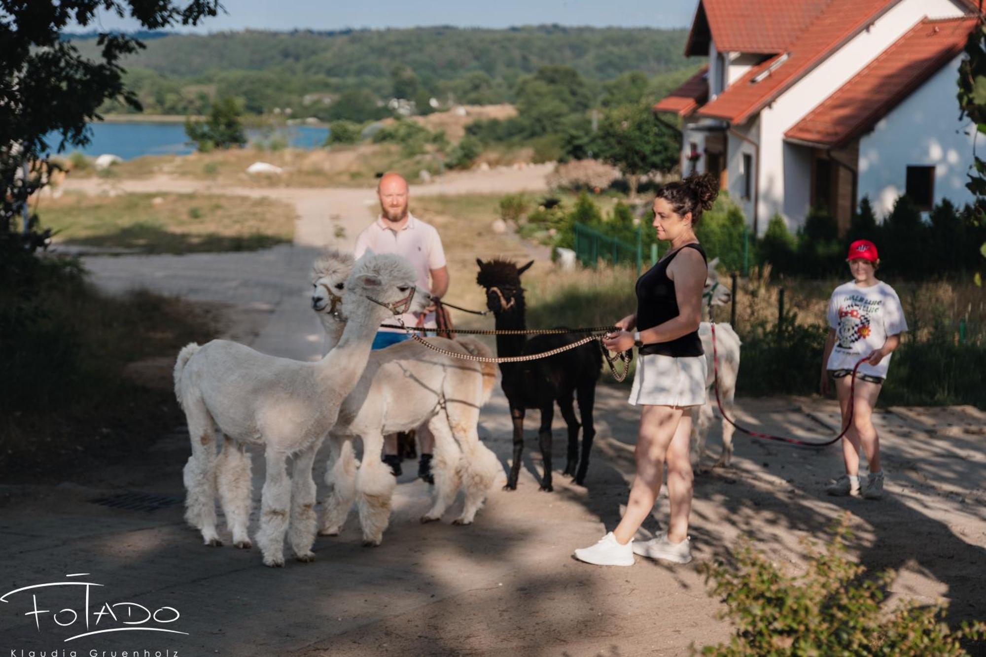 Domek na Slonecznikowej Chmielno Zewnętrze zdjęcie