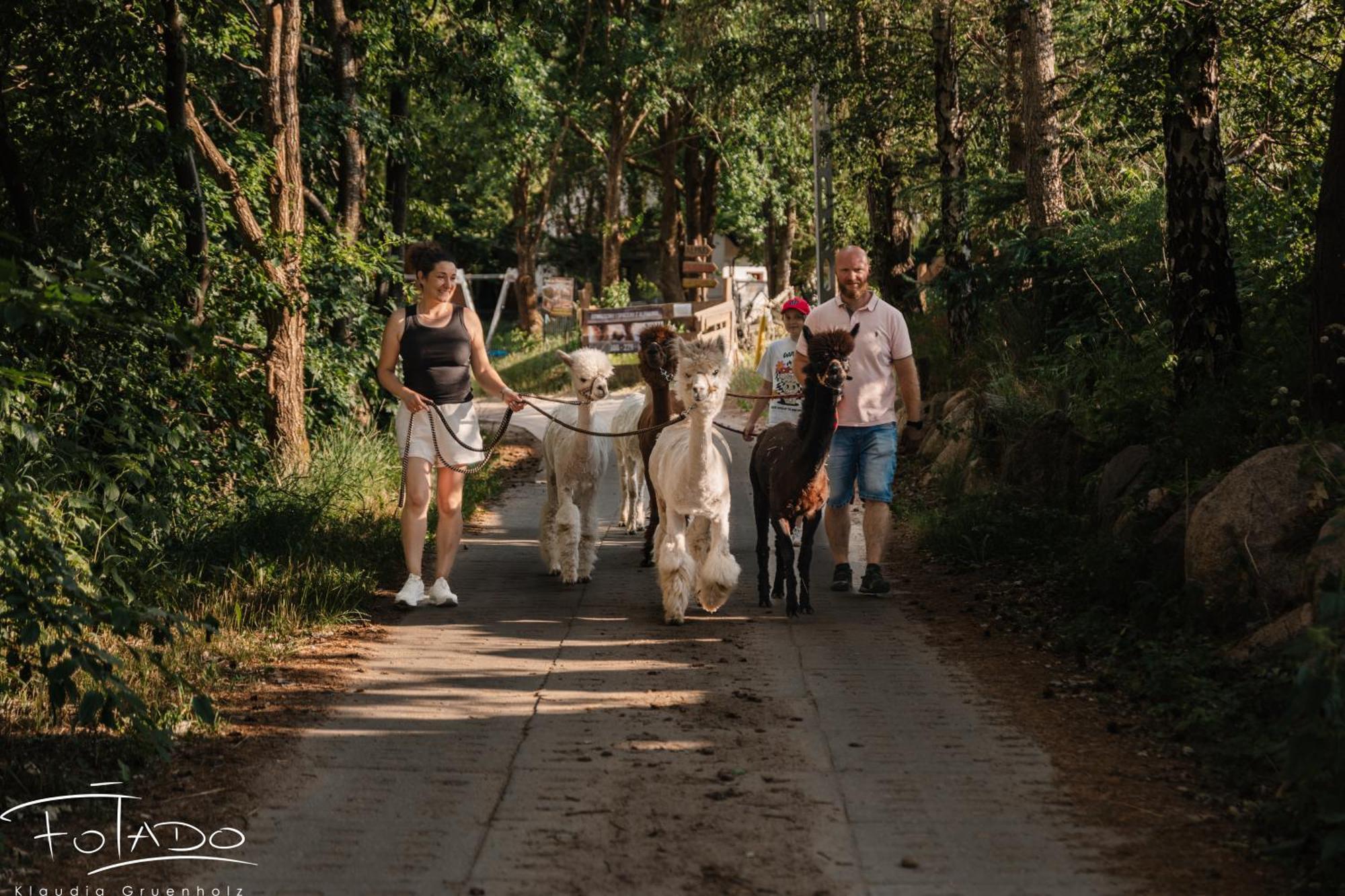 Domek na Slonecznikowej Chmielno Zewnętrze zdjęcie